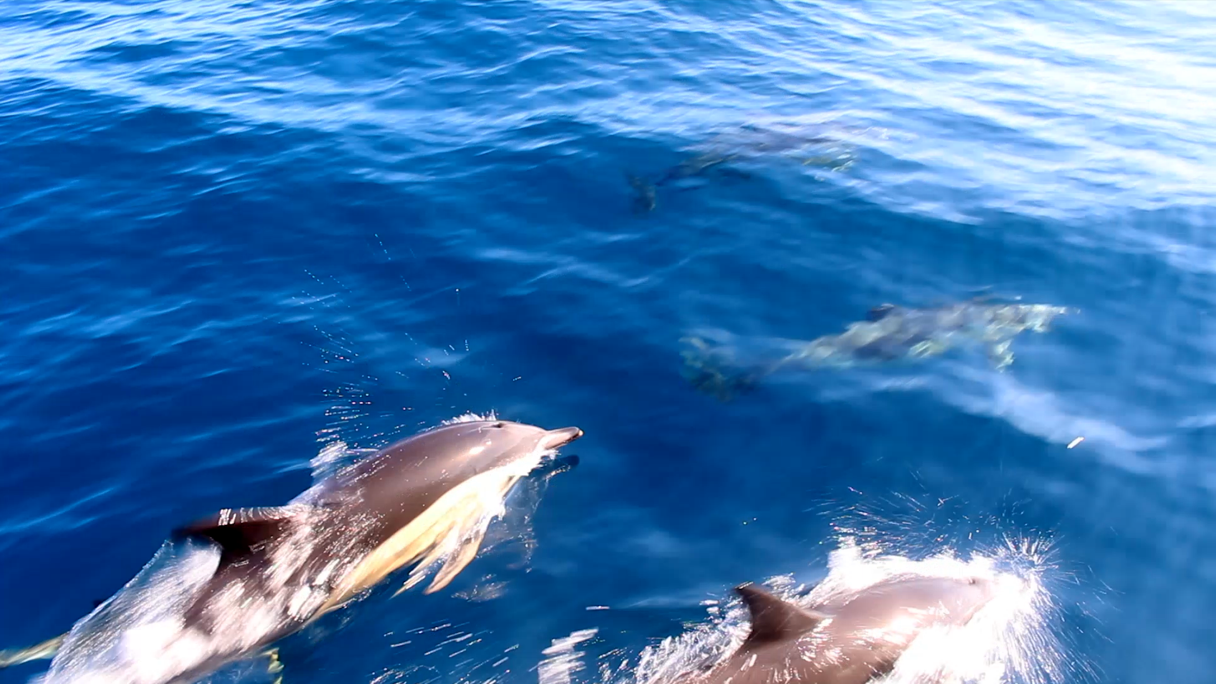 Traversée de l'Atlantique en voilier
